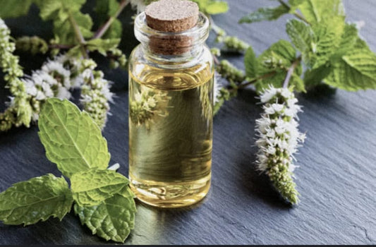Peppermint Oil