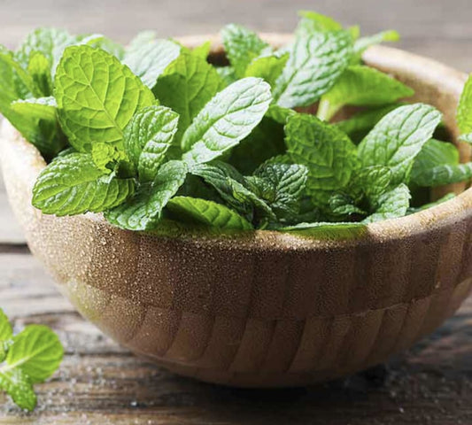 Peppermint Tea