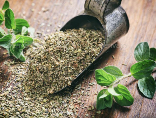 Oregano